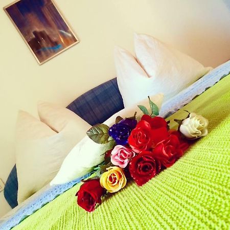 Apartment Emanuela Rovinjsko Selo Kültér fotó