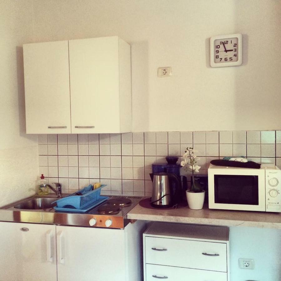 Apartment Emanuela Rovinjsko Selo Kültér fotó